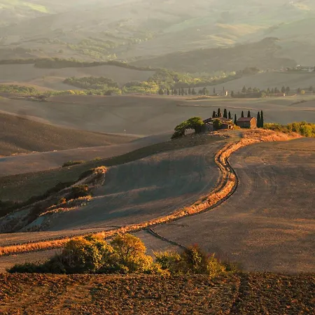 Quercia * Trequanda